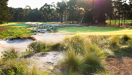 Pinehurst sandhills